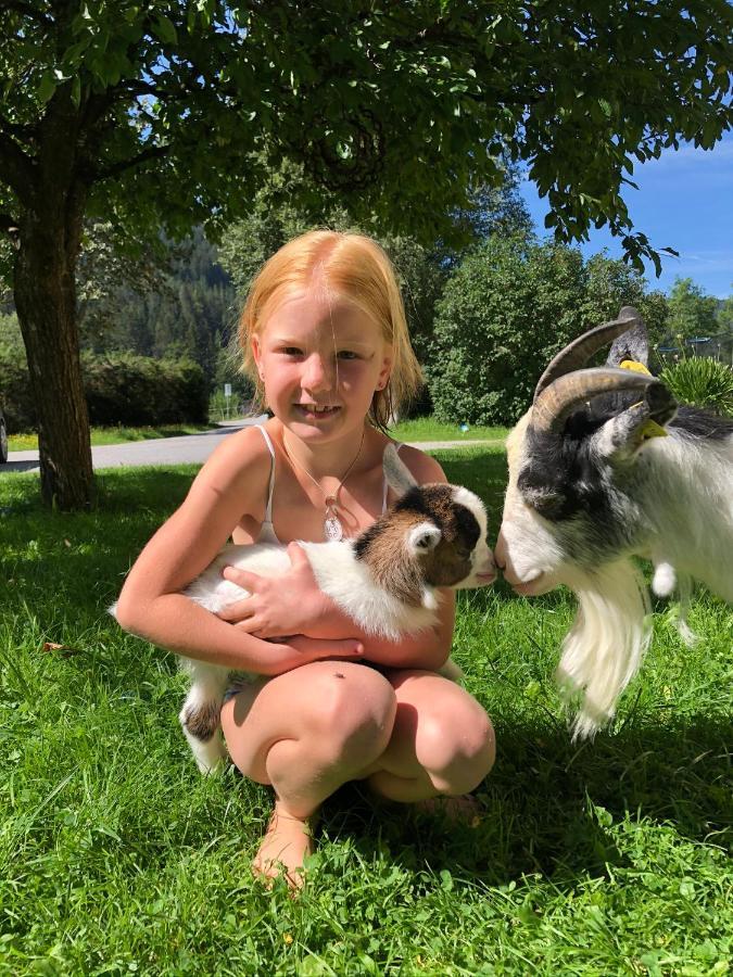 Biberhof Farm stay *